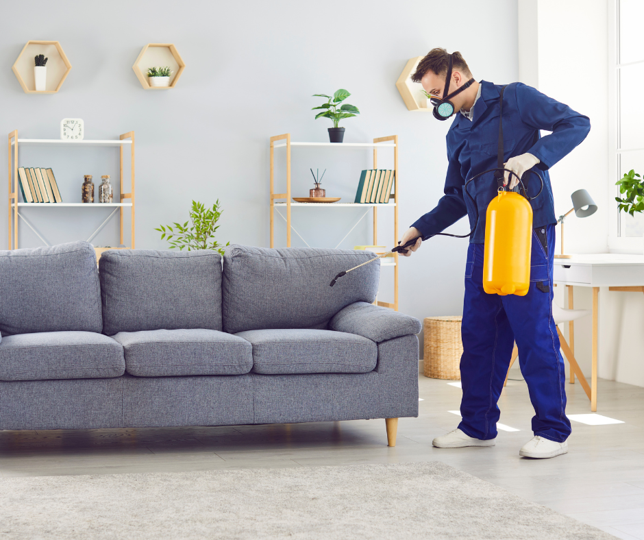 Mon Contrat Dératisation